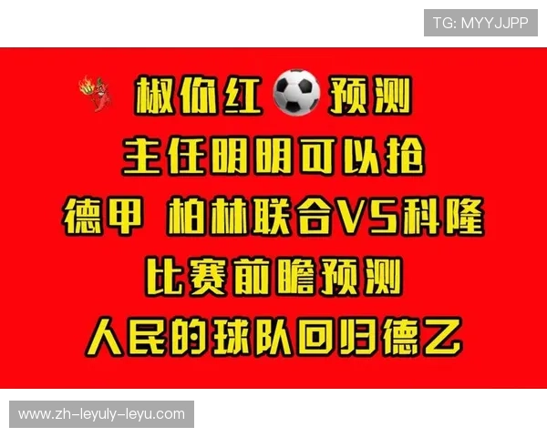 德甲足球球队口号标语及其背后的精神内涵